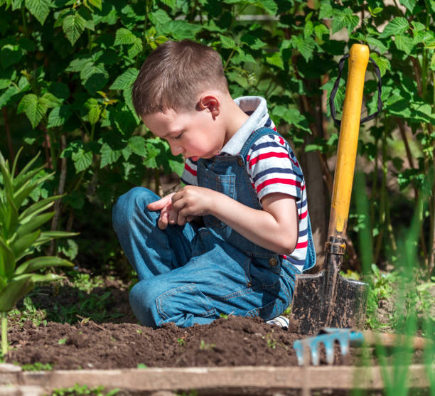 istock Boy Who Like To Work At Garden 696564774