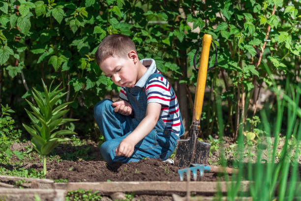 istock Boy Working At Garden. Seeds Planting 696564786