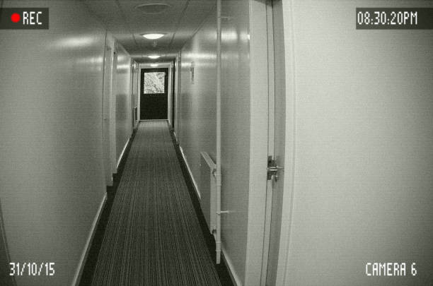 Surveillance monitor screen. The photo is generated from a camera photo using image processing software. I edit as a surveillance monitor screen in a image processing software. It consist 8 layers.