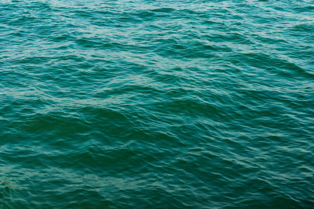 海の波のクローズアップ、低角度のビュー - ripple nature water close to ストックフォトと画像