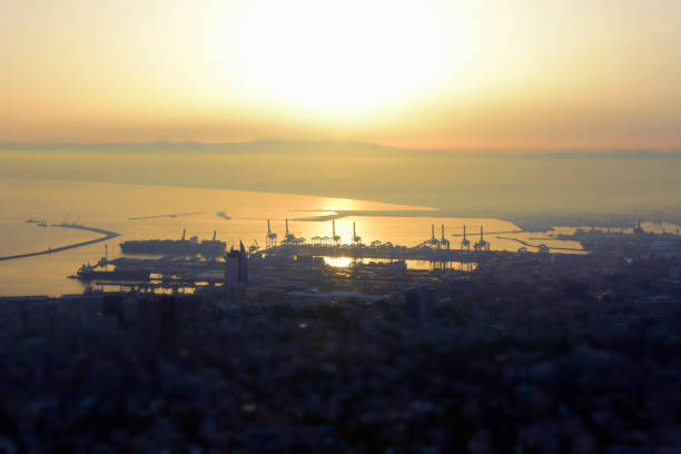 amazing sunrise - haifa bay israel - horizon over land israel tree sunrise imagens e fotografias de stock