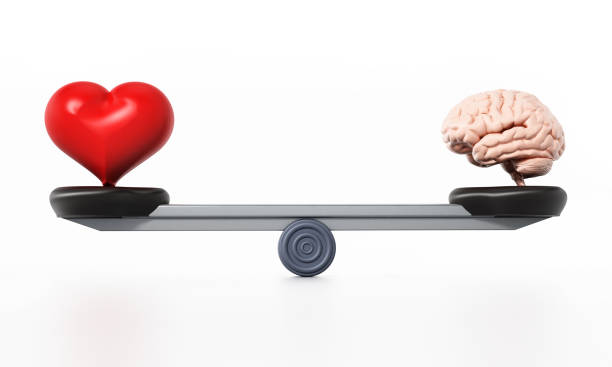 heart and brain standing at the opposite sides of the seesaw - weight scale scale balance legal system imagens e fotografias de stock