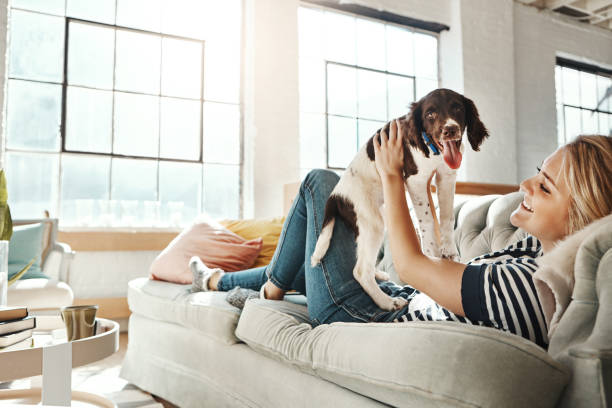 istock My human is my best friend 696580250
