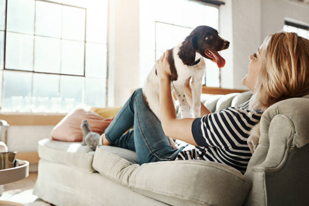 istock He's got the best seat in the house 696580266