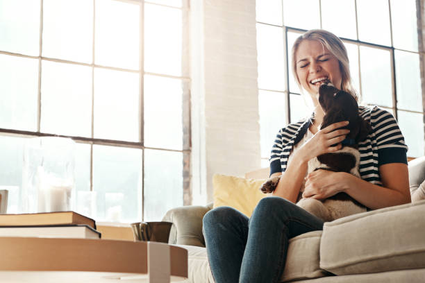 istock The warmest love comes from a wet nose 696580328