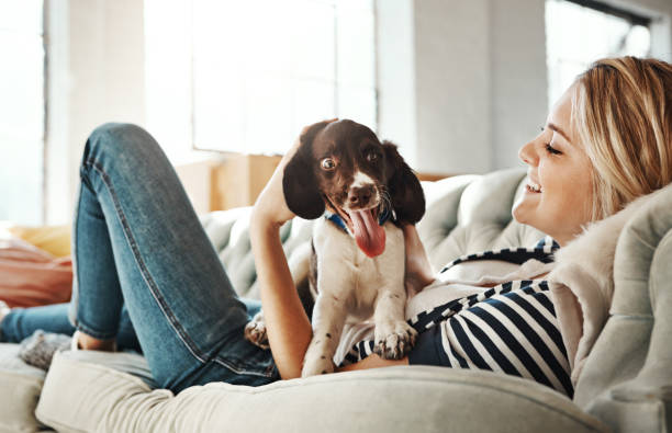 istock Cuddles and snuggles with mom 696580426