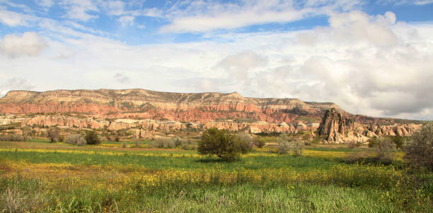 istock Fairy Chimneys in Cappadocia 696583902