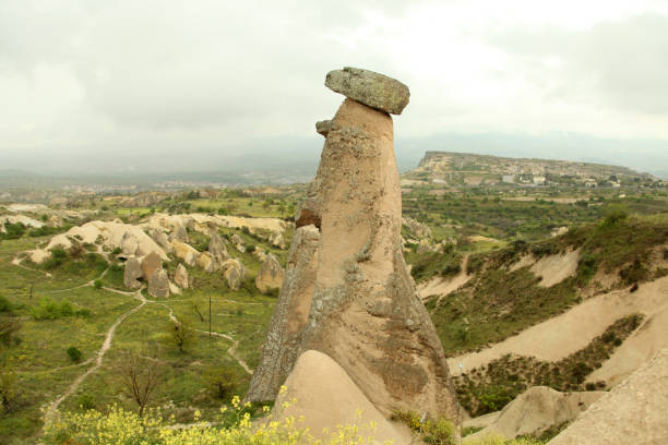 istock Fairy Chimneys in Cappadocia 696585138
