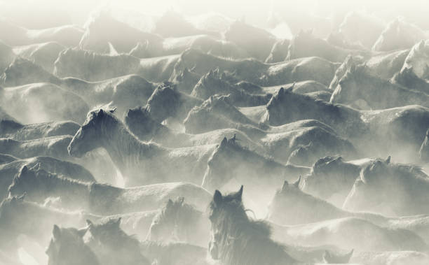 Herd of Wild Horses Running in Dust Wild horses of Central Anatolia, Turkey mustang wild horse photos stock pictures, royalty-free photos & images