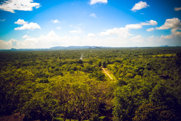 istock View from Mount Sigiriya Sri Lanka 696588810