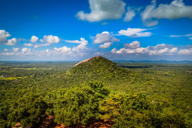 istock View from Mount Sigiriya Sri Lanka 696588890