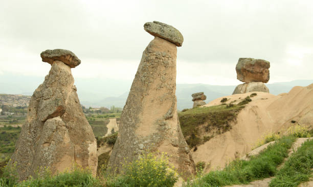 istock Fairy Chimneys in Cappadocia 696588930