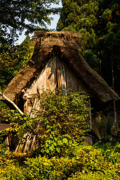 istock Koyo in Shirakawa-go - Japan 2015 696590108