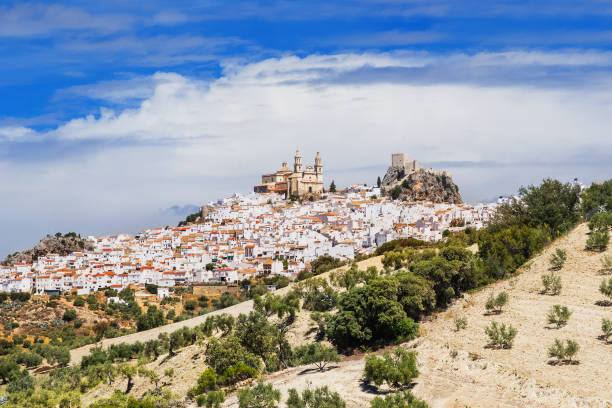 istock View of Olvera village, Andalusia, Spain 696597204