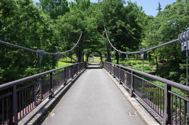 istock Suspension bridge in the park 696597432
