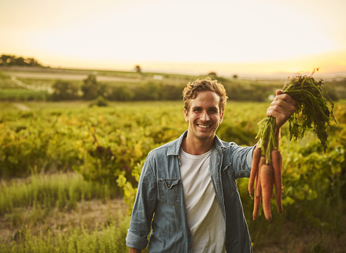 Shot of young man holding a bunch of carrots and smiling with his farm in the background
