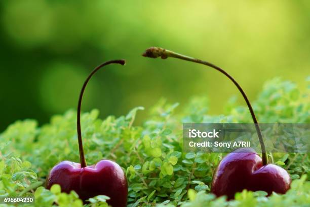 Cheery Delicious Fruit Stock Photo - Download Image Now - Austria, Fruit, Grass