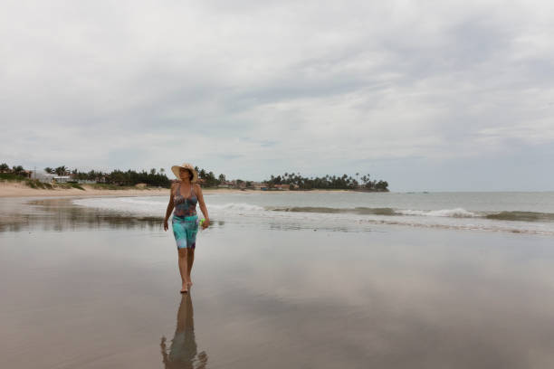 istock North (Natal) Rio Grande do Norte coastline, Brazil 696609314