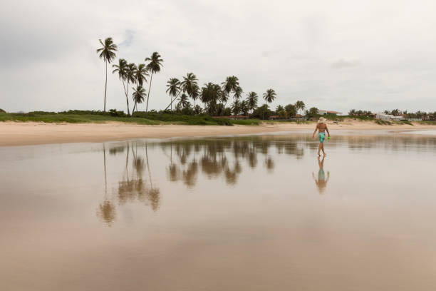 North (Natal) Rio Grande do Norte coastline, Brazil