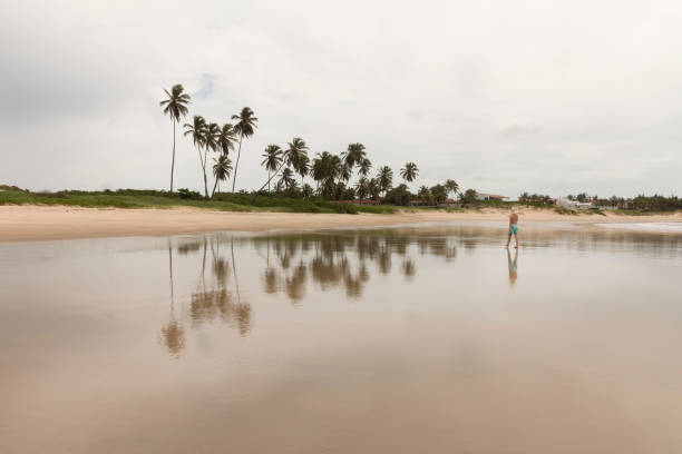 istock North (Natal) Rio Grande do Norte coastline, Brazil 696609478