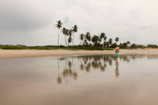 istock North (Natal) Rio Grande do Norte coastline, Brazil 696609526