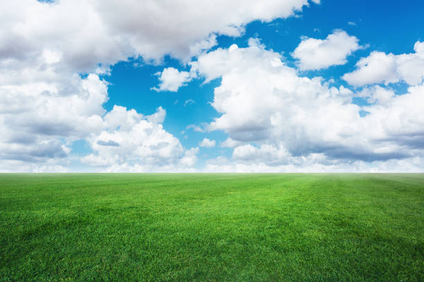 istock Beautiful grass and clouds - Landscape 696613930