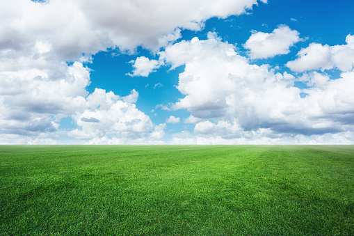 Beautiful grass and clouds - Landscape.