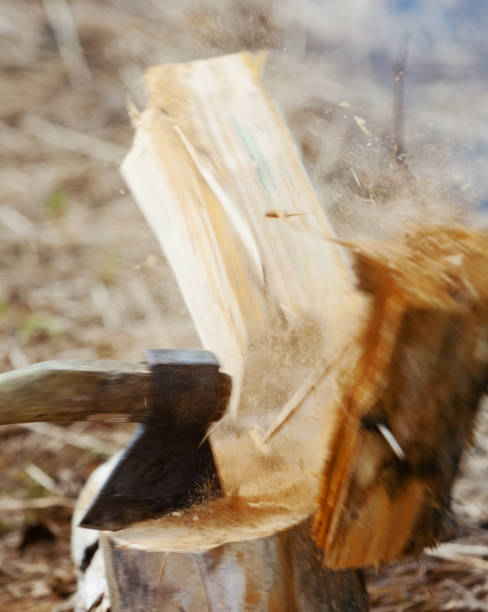 istock chop firewood for fire in wood 696623472