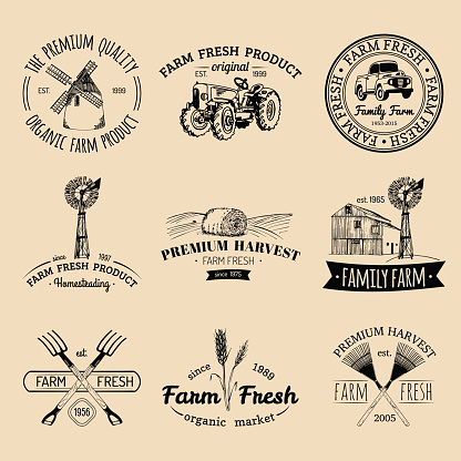 Vector retro set of farm fresh emblems. Organic bio products badges collection. Eco food signs. Vintage hand sketched agricultural equipment icons.