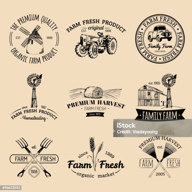 Vector Retro Set Of Farm Fresh Emblems Organic Products Badges Eco Food Signssketched Agricultural Equipment Icons Stock Illustration - Download Image Now