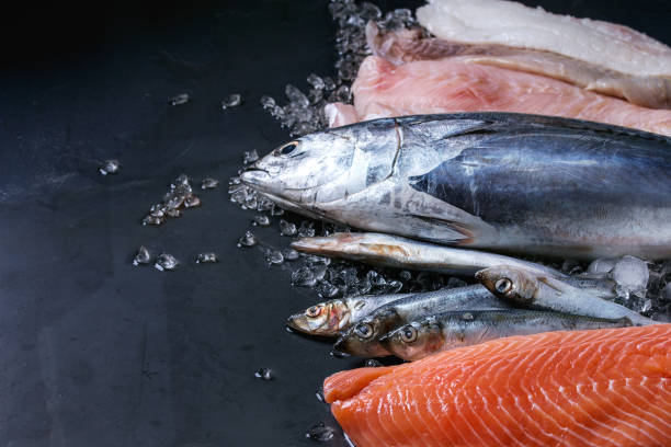 istock Vatiery of raw fresh fish 696626968