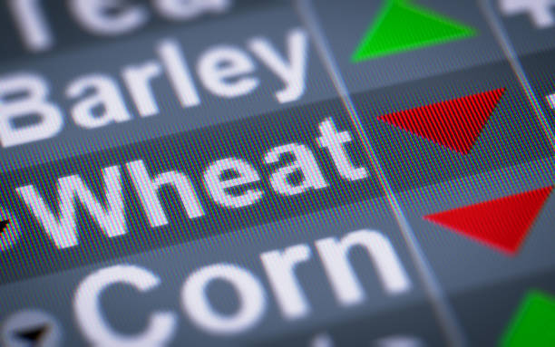 The Index of Wheat on The Screen. stock photo