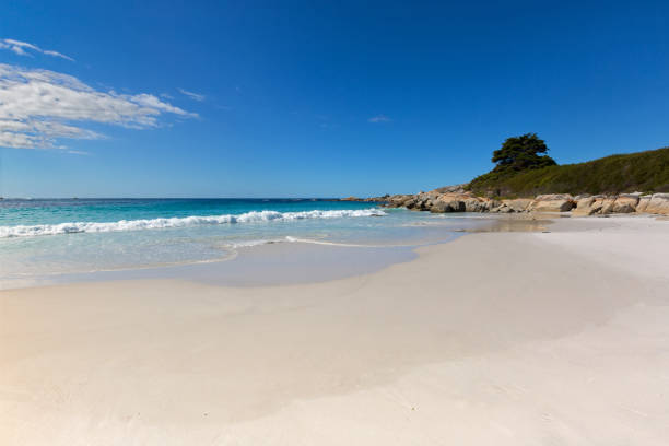 Bay of Fires in Tasmania. White sand beach with beautiful scenic view of turquoise blue water, Australia Bay of Fires in Tasmania. White sand beach with beautiful scenic view of turquoise blue water, orange lichen growing on granite rocks formations, rocky coastline in Australia bay of fires photos stock pictures, royalty-free photos & images