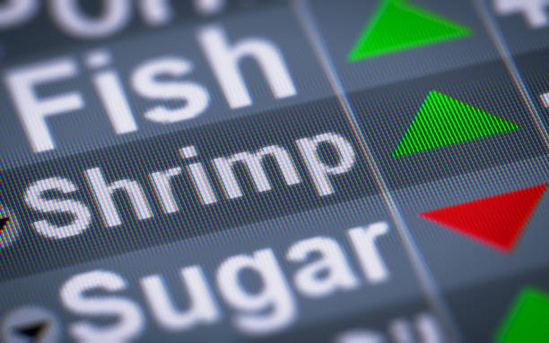 istock The Index of Shrimp on The Screen. 696632328