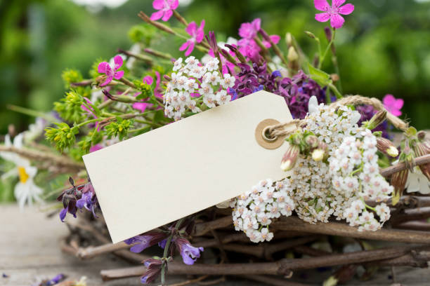 istock colorful meadow flowers 696644028