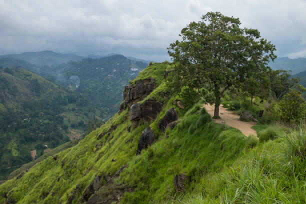 istock Little Adams peak panorama, Ella, Sri Lanka 696650078