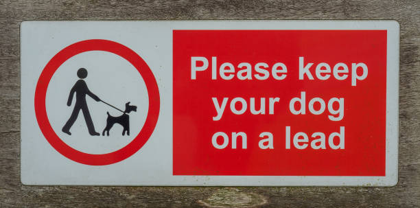 istock Please keep your dog on a lead 696650758