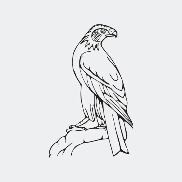 Vector illustration of Birds_of_prey