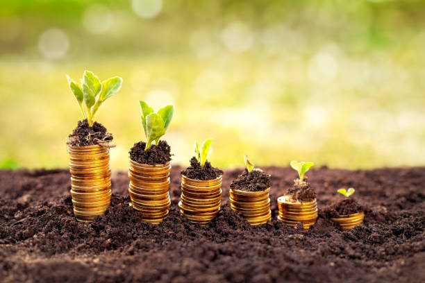 istock coins in soil with young plant 696661356