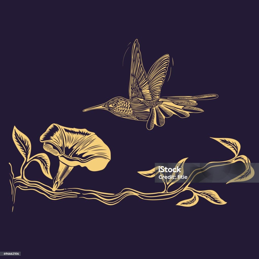 Flying Hummingbird vector drawing Fully editable in Adobe Illustrator,(Eps 10 + transparency effects used .)  Hummingbird stock vector
