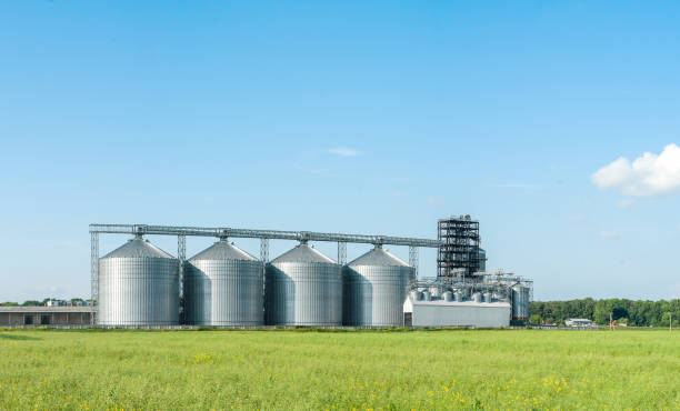 istock Elevator to store grain in a field on farmland 696677526