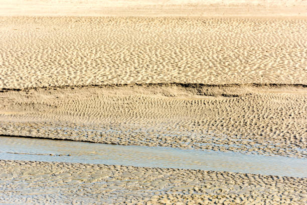 istock View of a sand sea bottom 696681168