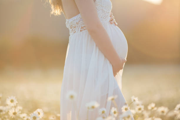 Beautiful happy pregnant girl on the field of daisy flowers stock photo