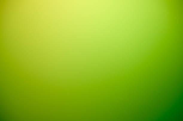 istock Abstract warm blurred green gradient background from white to green 696696784