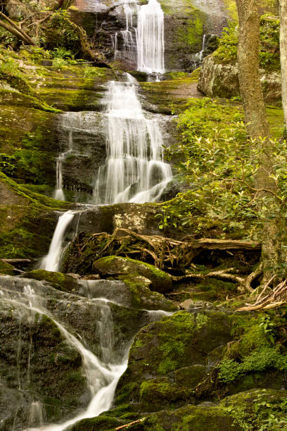 istock Waterfall in the deep woods cascading down a steep drop deep in the forest 696707972