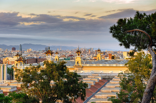 Evening aerial view on Barcelona town from Montjuic hill, Spain