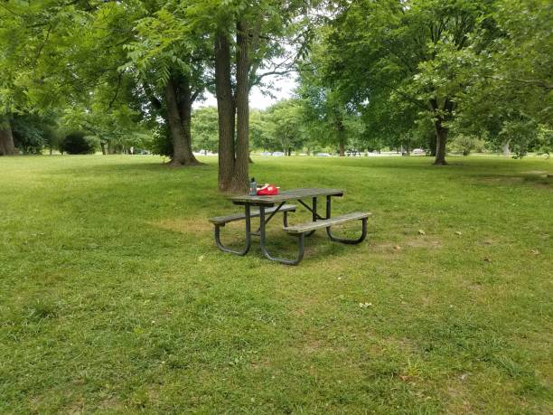 istock picnic table in park with water bottle and backpack 696711596