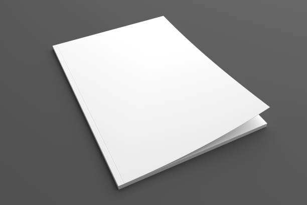 istock Blank brochure or magazine 3D illustration on grey for your design. 696719094