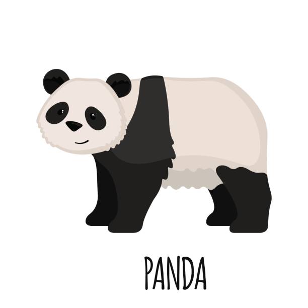 Cute Panda in flat style Cute Panda in flat style isolated on white background. Cartoon panda. Zoo animal. Vector illustration. chinese panda stock illustrations