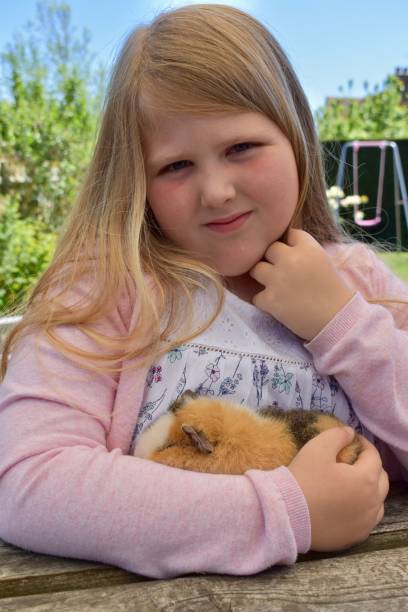 istock Young girl with her pet Guinea Pig 696730308